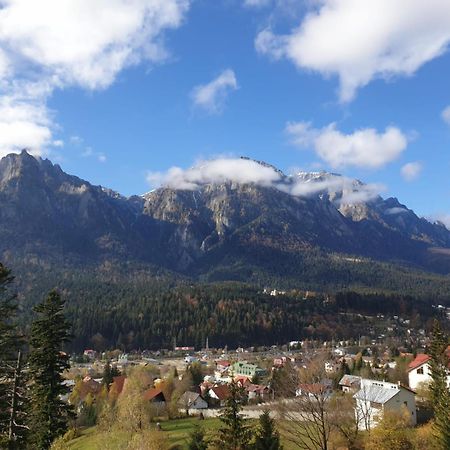 Vila Alunis Buşteni Dış mekan fotoğraf