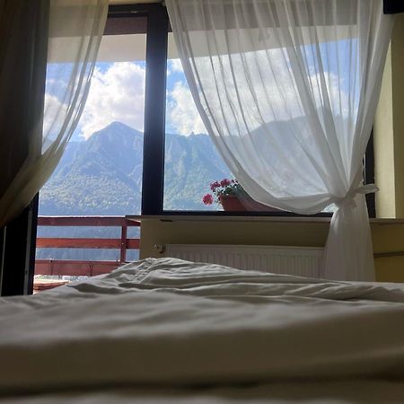 Vila Alunis Buşteni Dış mekan fotoğraf