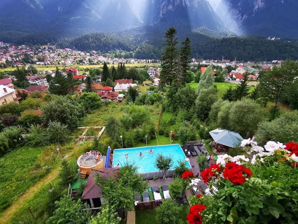 Vila Alunis Buşteni Dış mekan fotoğraf