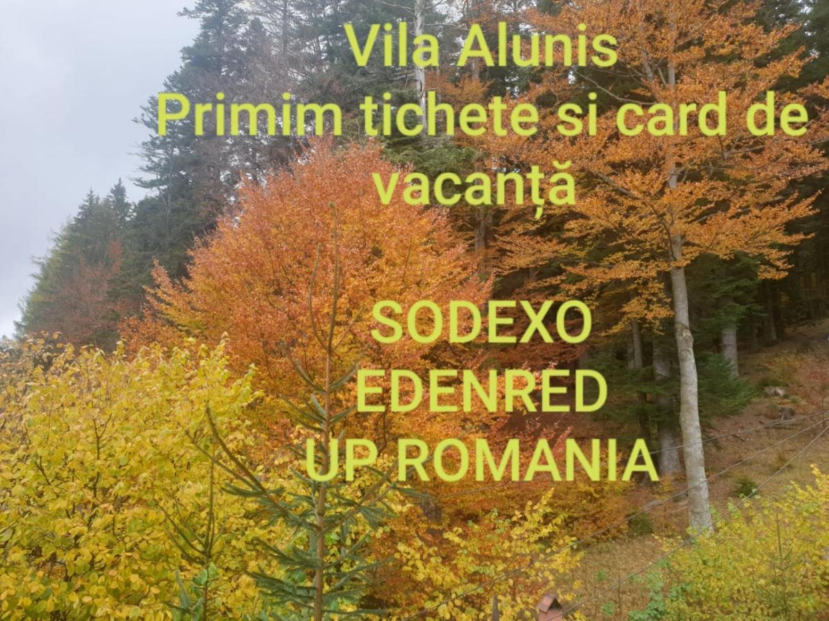 Vila Alunis Buşteni Dış mekan fotoğraf