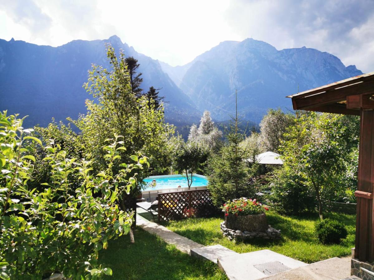 Vila Alunis Buşteni Dış mekan fotoğraf