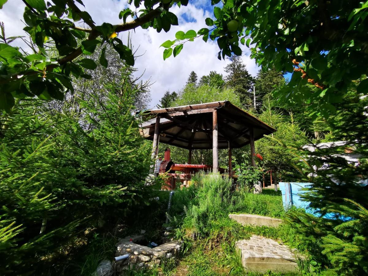 Vila Alunis Buşteni Dış mekan fotoğraf