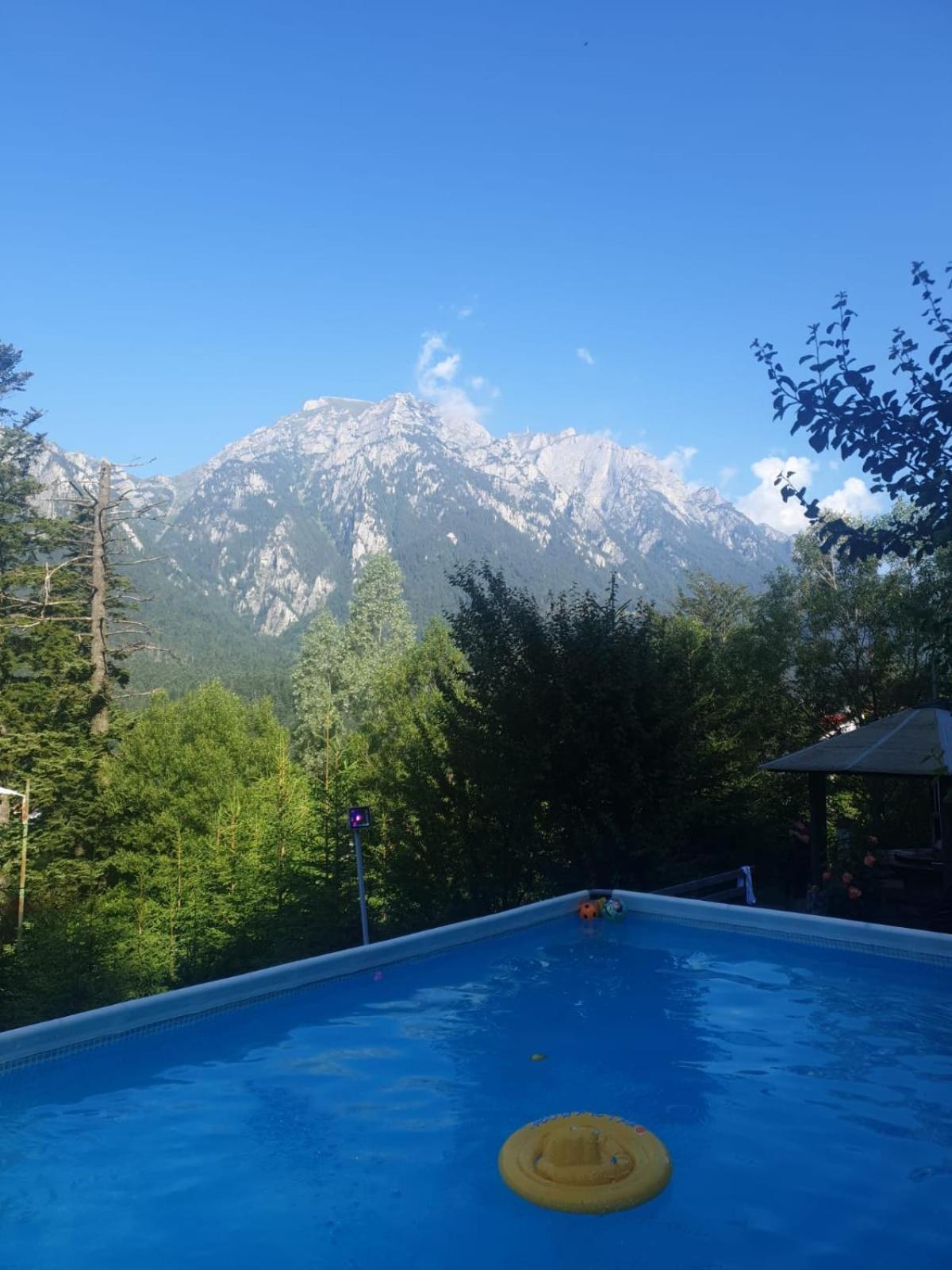 Vila Alunis Buşteni Dış mekan fotoğraf