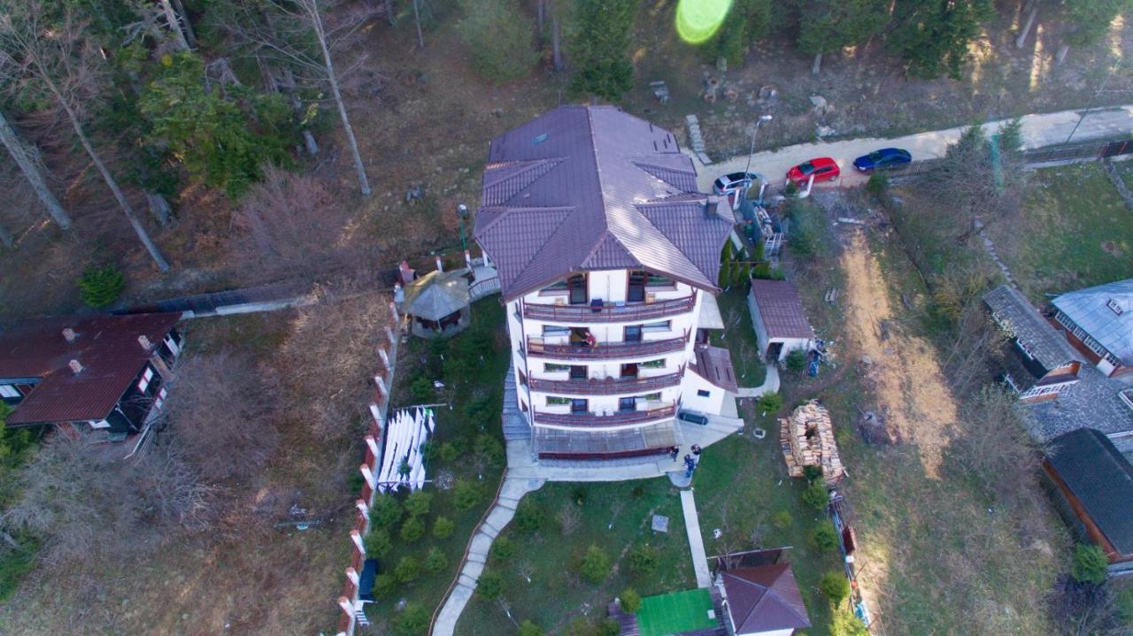 Vila Alunis Buşteni Dış mekan fotoğraf