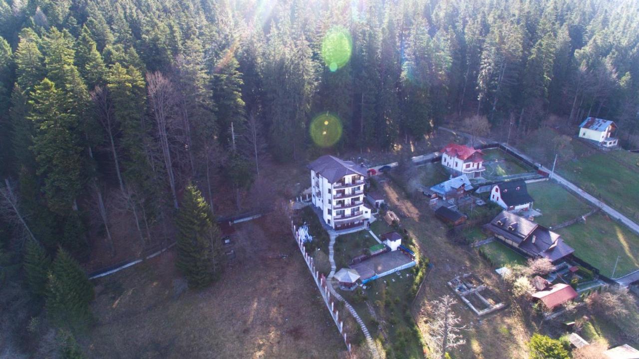 Vila Alunis Buşteni Dış mekan fotoğraf
