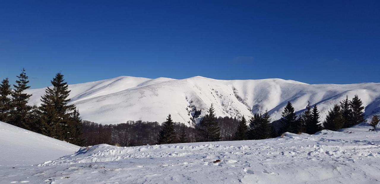 Vila Alunis Buşteni Dış mekan fotoğraf