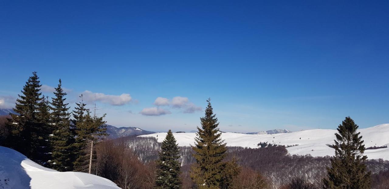 Vila Alunis Buşteni Dış mekan fotoğraf