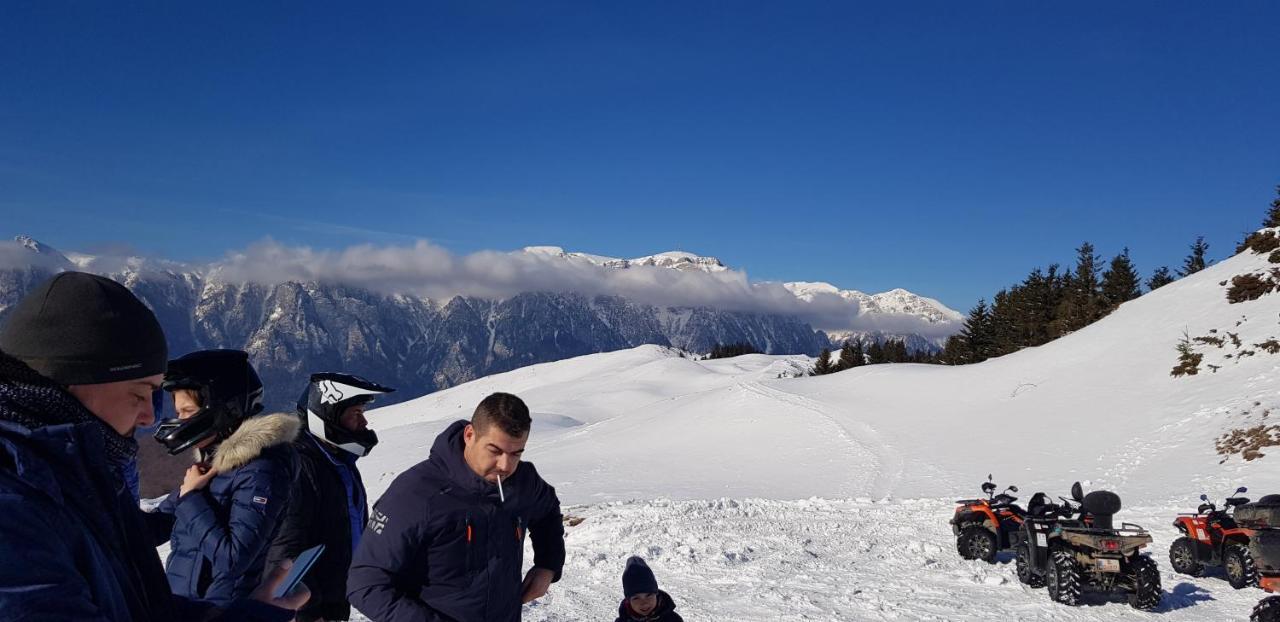 Vila Alunis Buşteni Dış mekan fotoğraf
