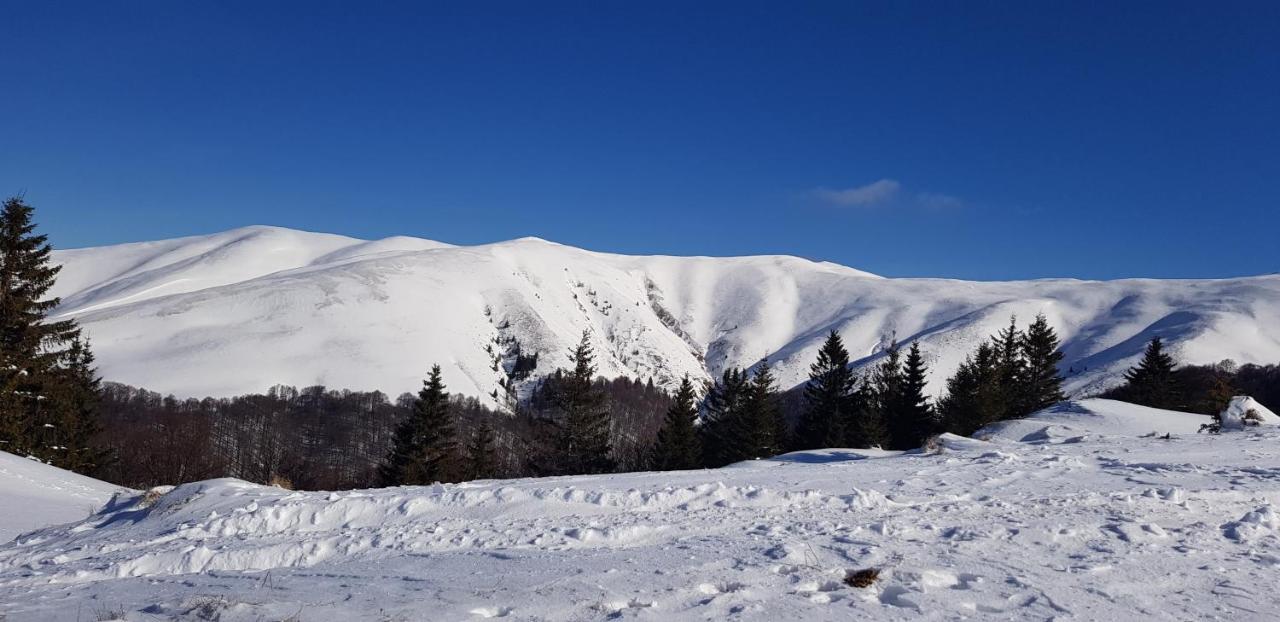 Vila Alunis Buşteni Dış mekan fotoğraf