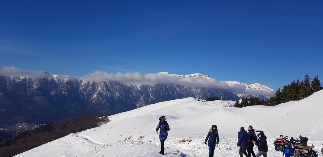 Vila Alunis Buşteni Dış mekan fotoğraf