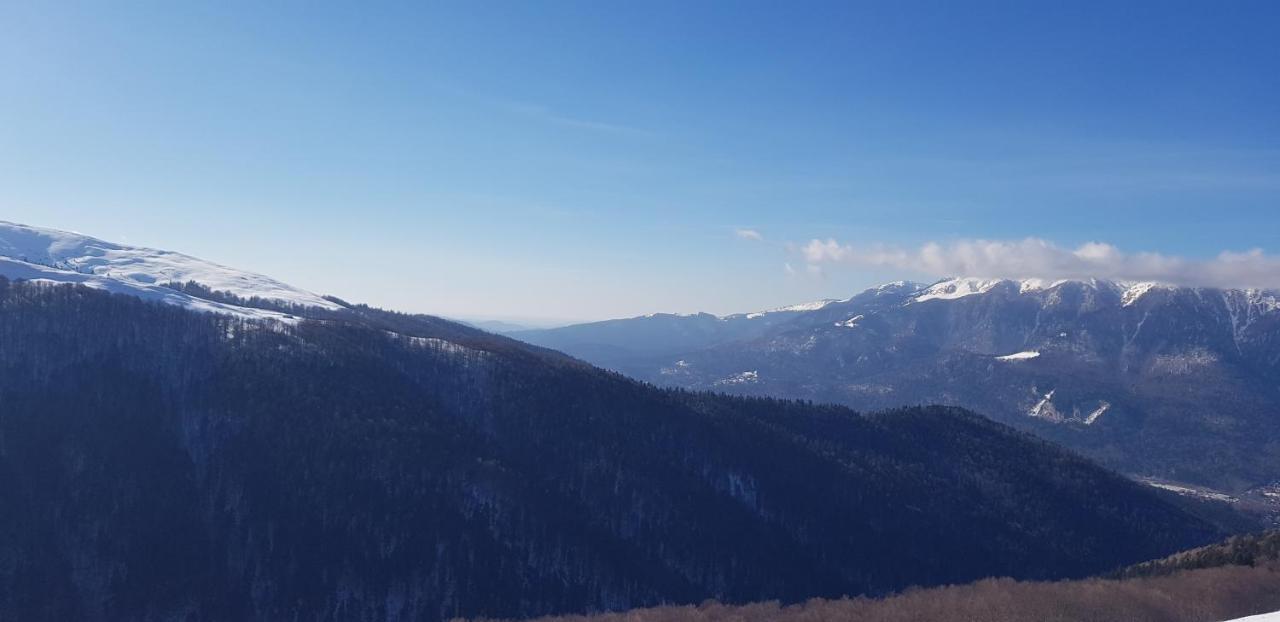 Vila Alunis Buşteni Dış mekan fotoğraf