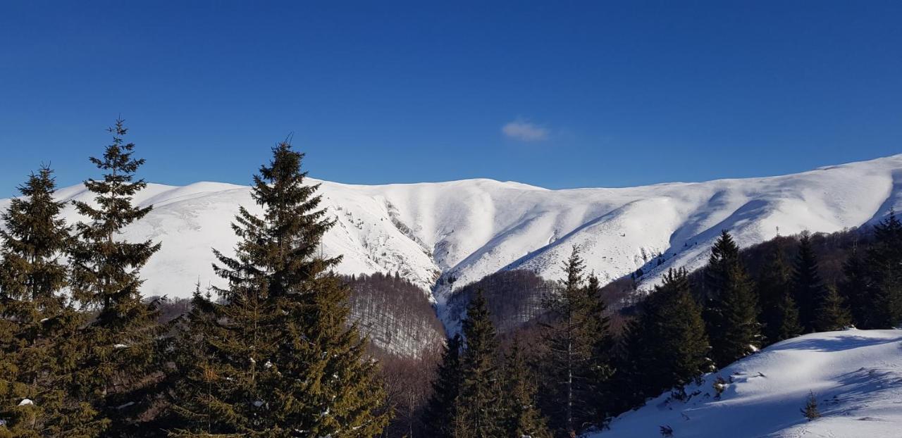 Vila Alunis Buşteni Dış mekan fotoğraf