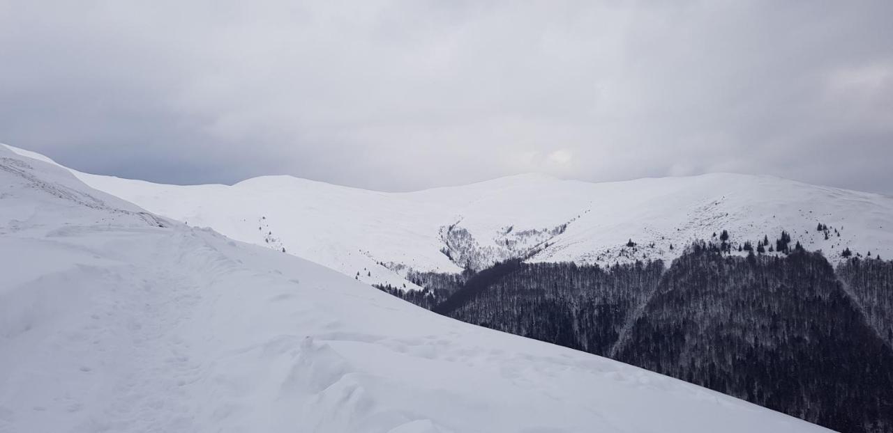 Vila Alunis Buşteni Dış mekan fotoğraf