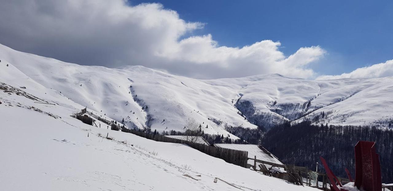Vila Alunis Buşteni Dış mekan fotoğraf
