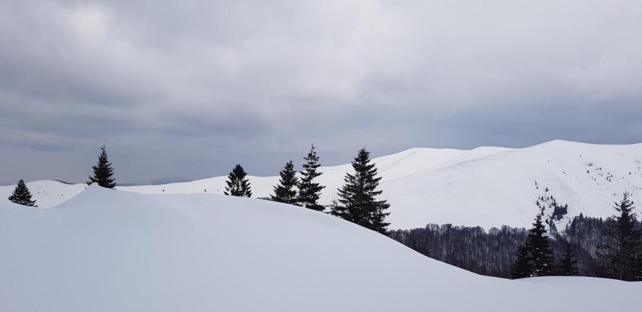 Vila Alunis Buşteni Dış mekan fotoğraf