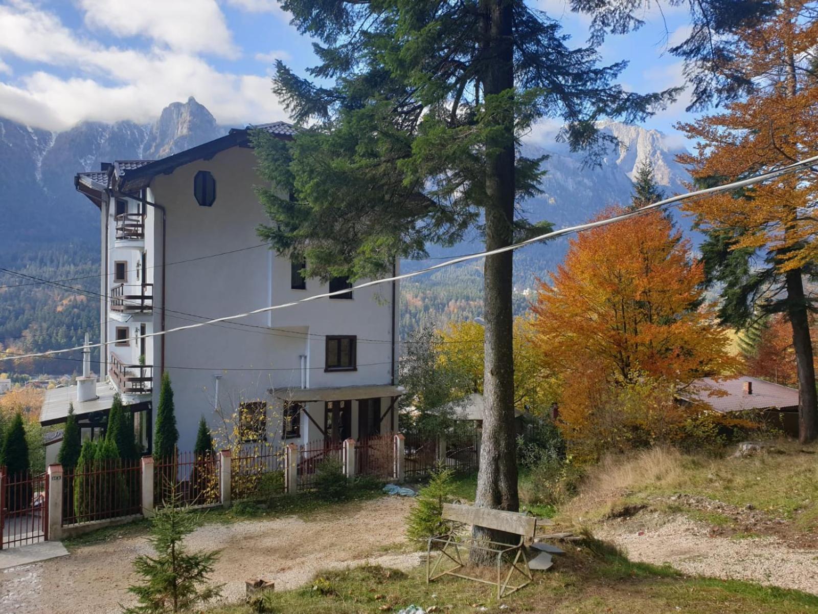 Vila Alunis Buşteni Oda fotoğraf