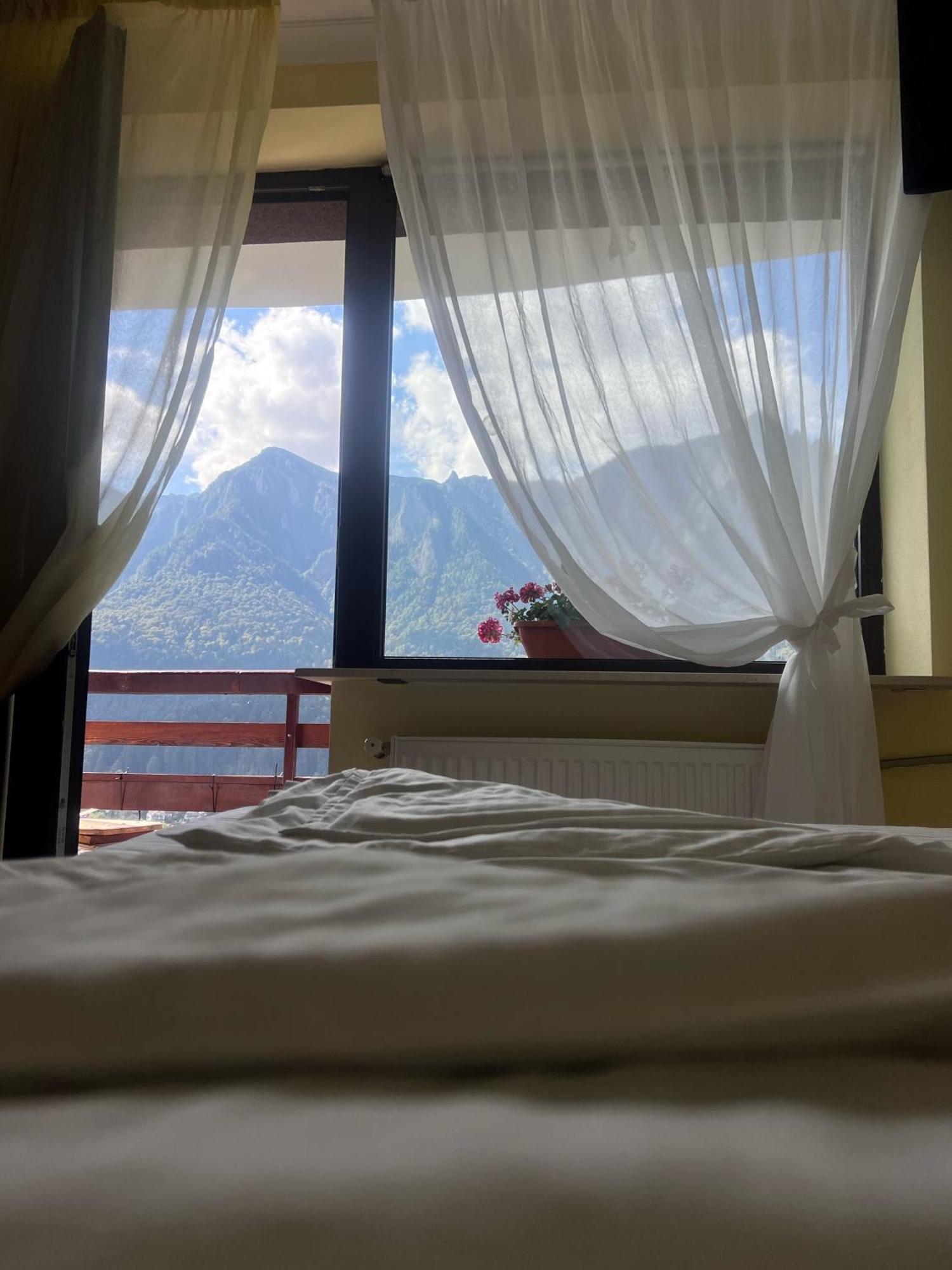 Vila Alunis Buşteni Dış mekan fotoğraf