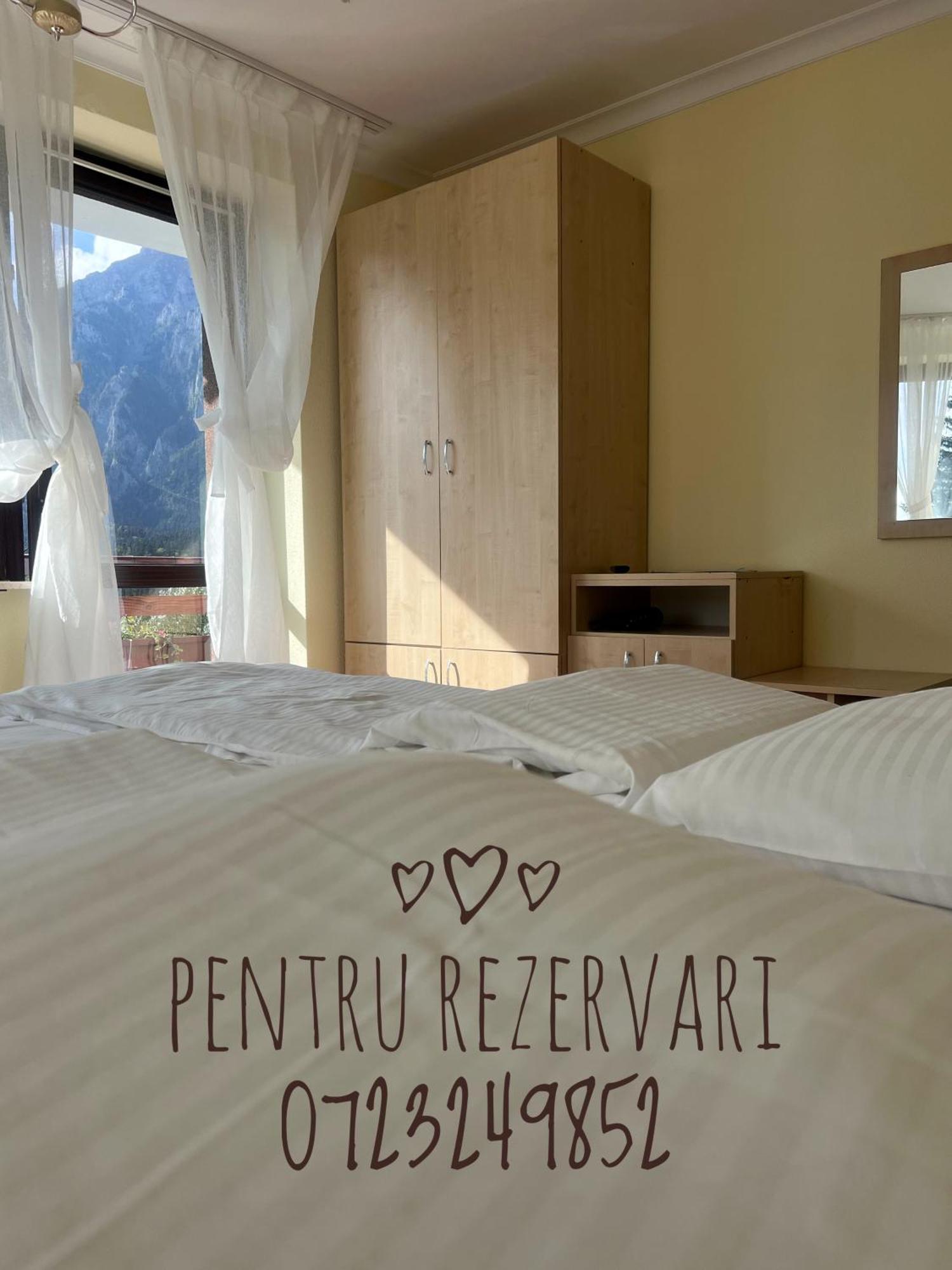 Vila Alunis Buşteni Dış mekan fotoğraf