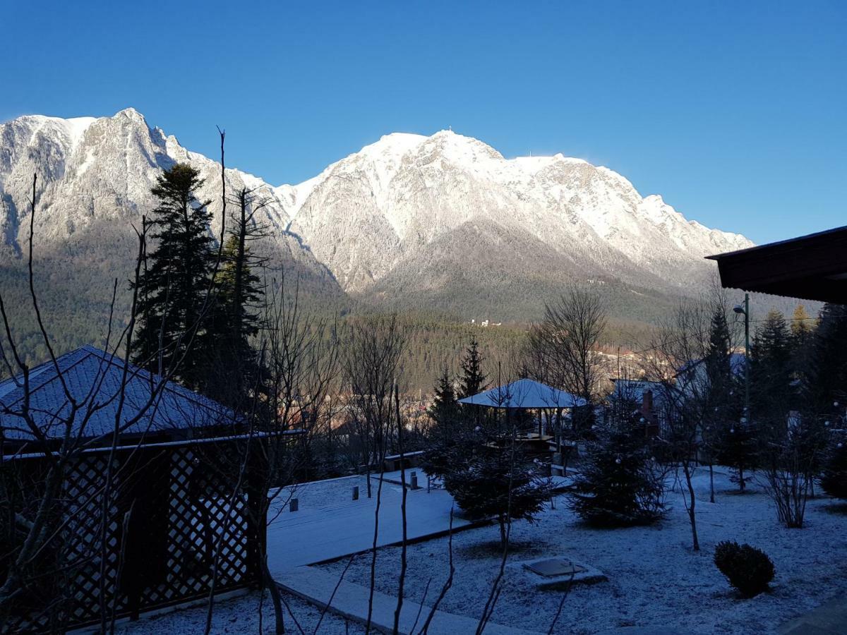 Vila Alunis Buşteni Dış mekan fotoğraf